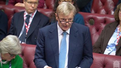 House of Lords pushes for Australian-style social media ban for under-16s