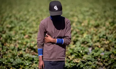 Capital & Main Wins Five Best in Business Awards from National Journalism Contest