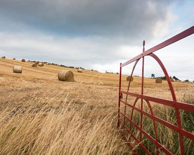 How coded wartime forecasts kept intelligence out of enemy hands