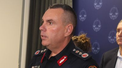 Alleged move to oust senior cop over DV probe response