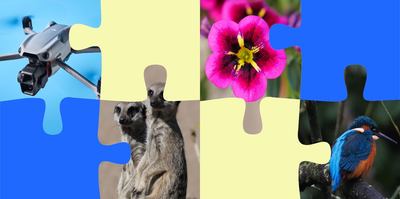 Can you beat us at our own game? New Tom’s Guide jigsaw puzzles are a great way to kill time between Wordles