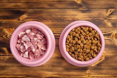 Raw Diet vs Kibble: What’s Healthier for Your Dog?