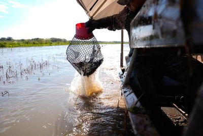 Photos shows the crawfish processing in Louisiana, an industry hit by a shortage of foreign workers