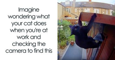 50 Funny Posts From “Animals Doing Things” That Might Bring Some Sunshine To Your Day