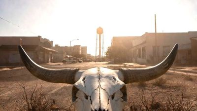 Texas city officials warn taps about to run dry, but PETA say they have the solution