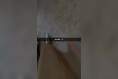 White House tweets and deletes cryptic video from official account