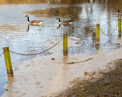 Sewage released into England’s rivers and seas nearly 300,000 times last year