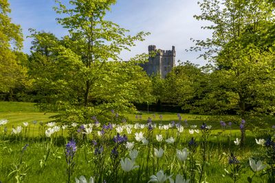 Why do the clocks go forward and what impact does it have on your health?