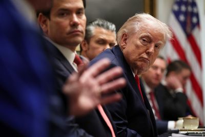 Gavin Newsom responds after Trump uses Cabinet meeting to call him stupid: Live updates