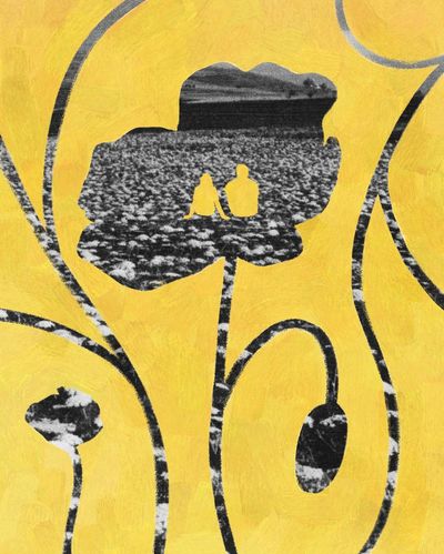 My last fight with my Palestinian father still haunts me. Neither of us could bury the past