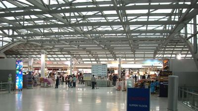 TikToker – with history of missing flights – arrived 2 hours early to finally break the streak, but still saw the plane leaving without her