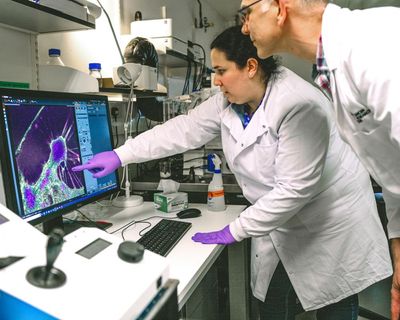 Secrets of the ‘super-avoiders’ – why do some people just not get cancer?