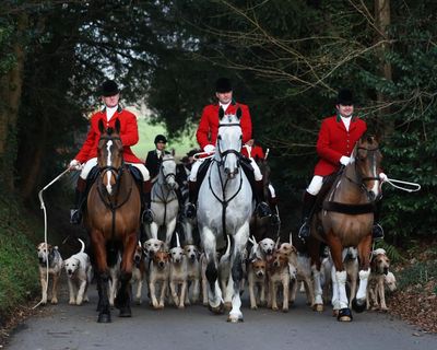Labour vows to ban trail hunting as it opens public consultation