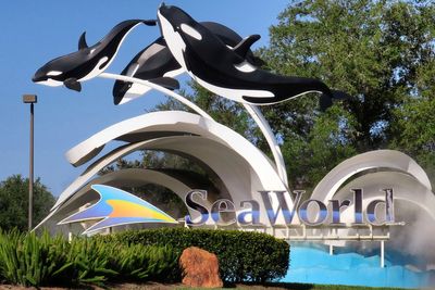 DOJ sues SeaWorld's parent company over ban on wheeled walkers at their parks