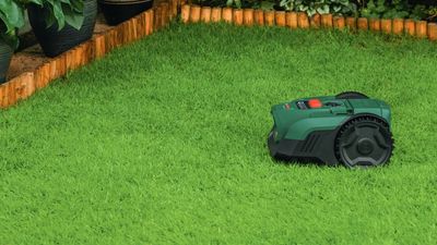 Watch out, Segway – Bosch’s new robot lawn mower has AI smarts and an affordable price tag