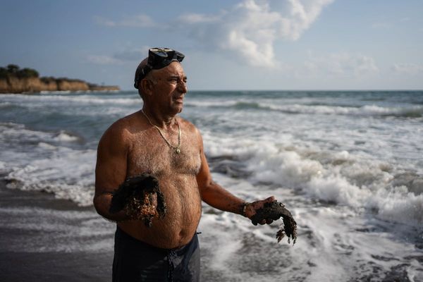 Gulf of Mexico oil spill spread hundreds of miles, killed wildlife and polluted Mexican reserves