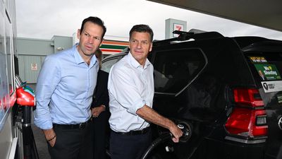 Coalition calls for cut to fuel tax as price woes mount