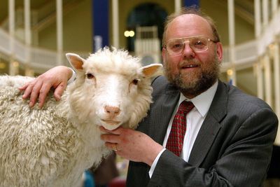 Pioneering cloned sheep now on display at Scottish museum