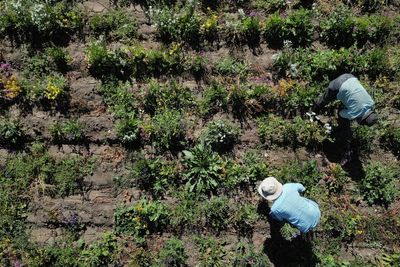 Harvests and food prices at risk as Iran war triggers global fertiliser crunch