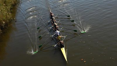 Croc and elephant fears lurk over Olympic rowing venue