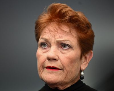 Pauline Hanson’s One Nation likely to win second South Australian lower house seat