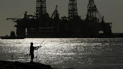 ‘Reckless’: Trump seeks Endangered Species Act exemption for oil, gas projects in Gulf of Mexico