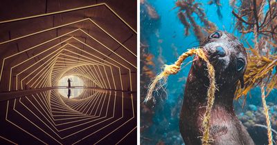38 Award-Winning Mobile Photos From Around The World