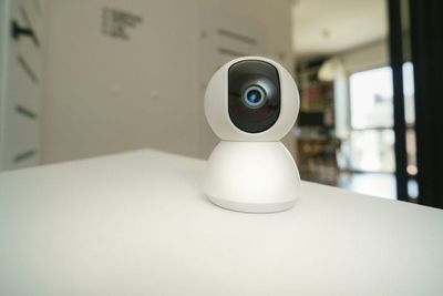 Why More Americans Are Installing Cameras Inside Their Homes—and What They’re Catching