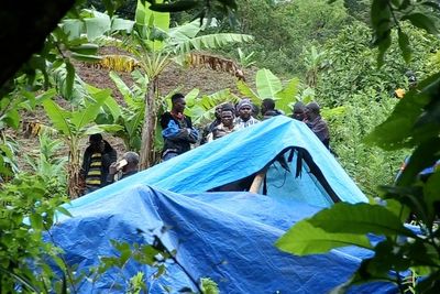 Landslides triggered by heavy rainfall kill at least 20 people in Tanzania