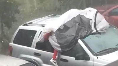 ‘Maybe he forgot insurance’: Florida man tries to protect car during hailstorm by lying on top of it