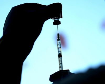 Polio virus detected in London days before ministers cut global eradication funding