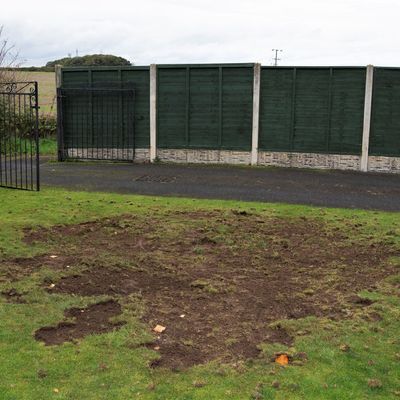 Are chafer grubs eating your lawn? 3 tell-tale signs that they’re wrecking your grass – and how to get rid of them