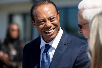 Tiger Woods released on bail hours after arrest at crash scene on suspicion of DUI