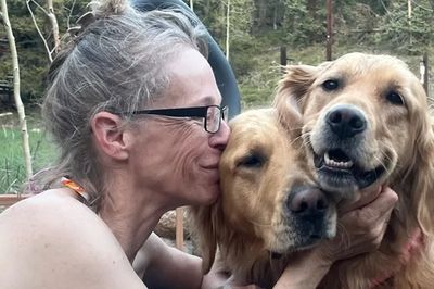 Family speaks out after finding meth-laced hotdogs in yard eaten by their pets