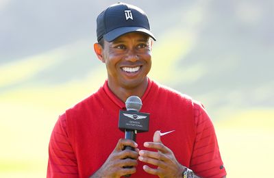 Sports star Tiger Woods charged with DUI