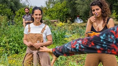 Europe's farms are reeling from the Iran war. Regenerative farmers saw it coming