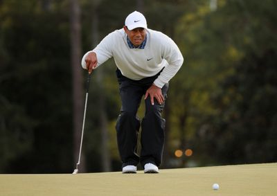 Why Was Tiger Woods Arrested? Sheriff Says Professional Golfer Will 'Pay Price'