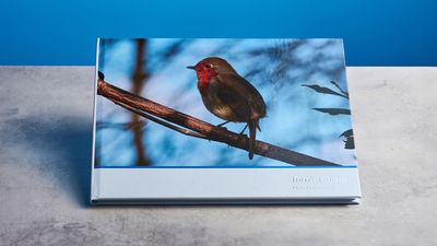 Popsa Photo Book review