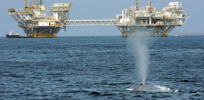 Trump’s ‘God Squad’ pits energy vs. endangered species, but it’s a false choice – protecting wildlife can be good for business