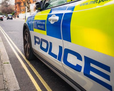 Met police investigate stabbing death near Westminster Abbey