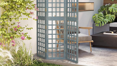 This Foldable Outdoor Privacy Screen Brings Another Level of Flexibility to a Small Garden — Portable, and Affordable, the Stylish Design Can Even Be a Trellis for Your Plants