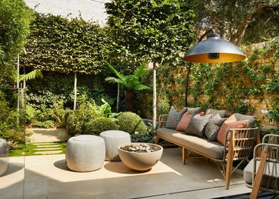 'They’re Not a Quick Fix for Garden Privacy' — 5 Problems With Pleached Trees Not Enough People Talk About