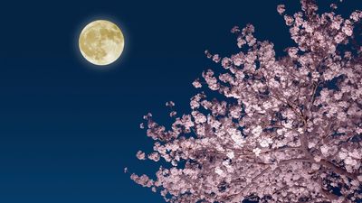 How to catch the full 'Pink Moon' in April followed by a 'Blue Moon' in May