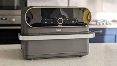 I tested the Tower Elite 11-Liter Flexi Drawer Air Fryer — it’s the best bang-for-buck large-capacity air fryer around