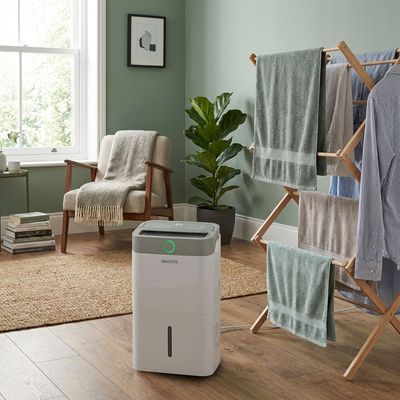 This Electriq dehumidifier and air purifier is a small, low-cost hero for damp homes, daily laundry and allergy season