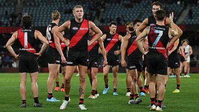 Essendon fans warned to brace for 'short-term pain'