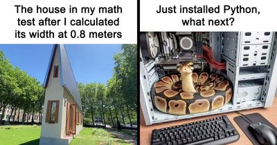 57 Memes To Make You Laugh At The Most Random Mundane Things