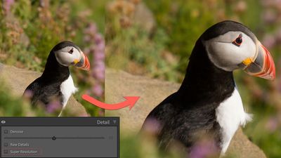 Use this photo editing hack to turn your old 8MP digital photos into modern 32MP masterpieces