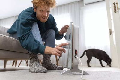 Automatic Litter Boxes: Worth the Hype?