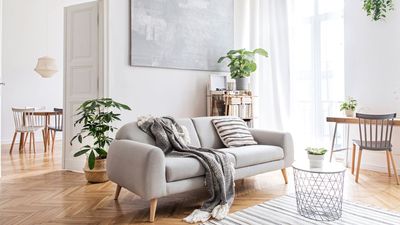 'Daylighting' made my home brighter and slashed my electricity bills — here's how